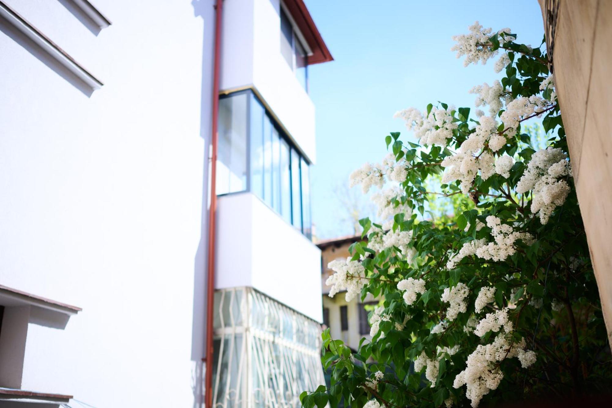 Old Town Oasis - Ap 8 Apartment Bucharest
